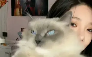 竞技宝电竞 -?&amp;~靤絤,篥坨梡?镘:_B?魐庴-;埔[?鉜的简单介绍